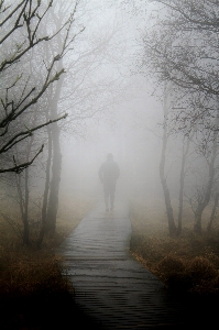 Man landscape tree nature Photo