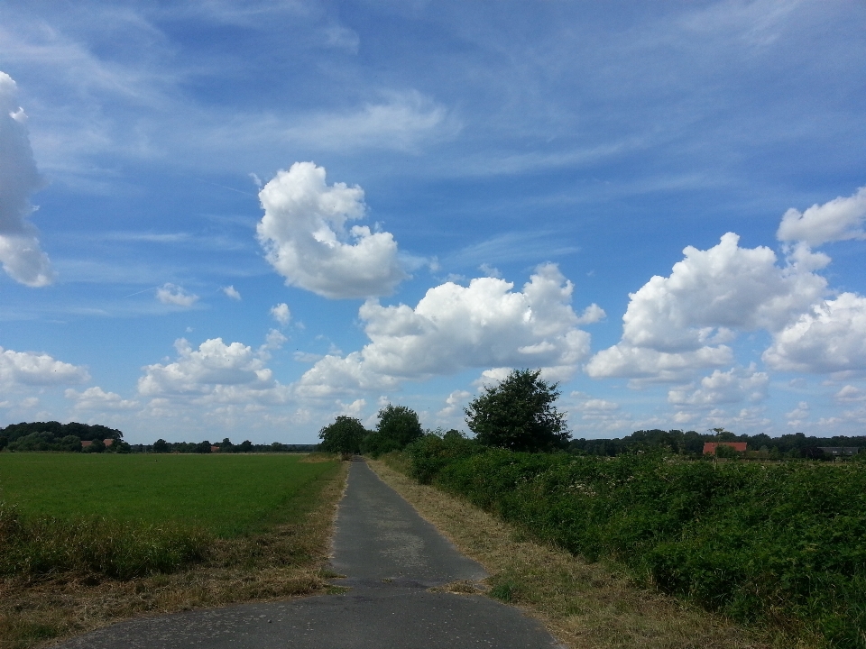 Paisaje césped horizonte nube