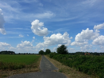 Landscape grass horizon cloud Photo