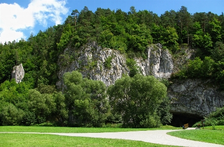 Zdjęcie Krajobraz drzewo natura trawa