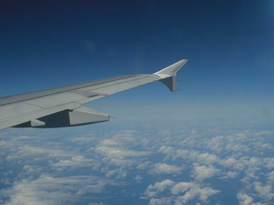 羽 空 飛ぶ 旅行