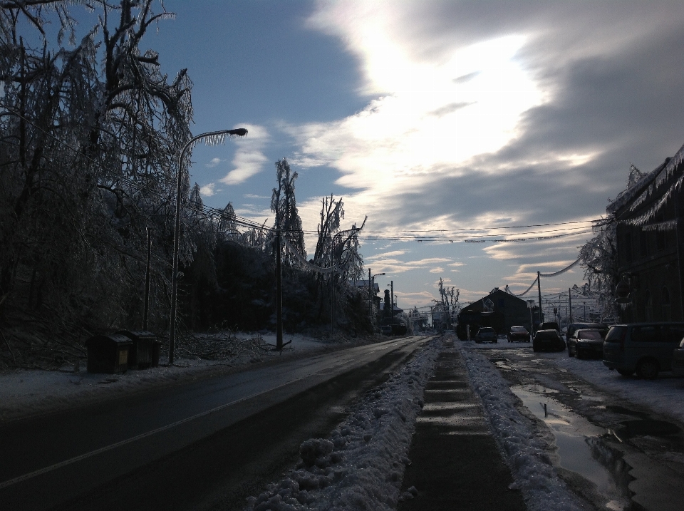 Albero nevicare freddo inverno