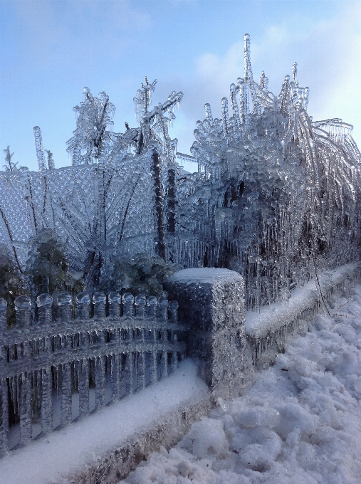 Neige froid hiver clôture