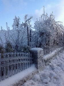 Snow cold winter fence Photo