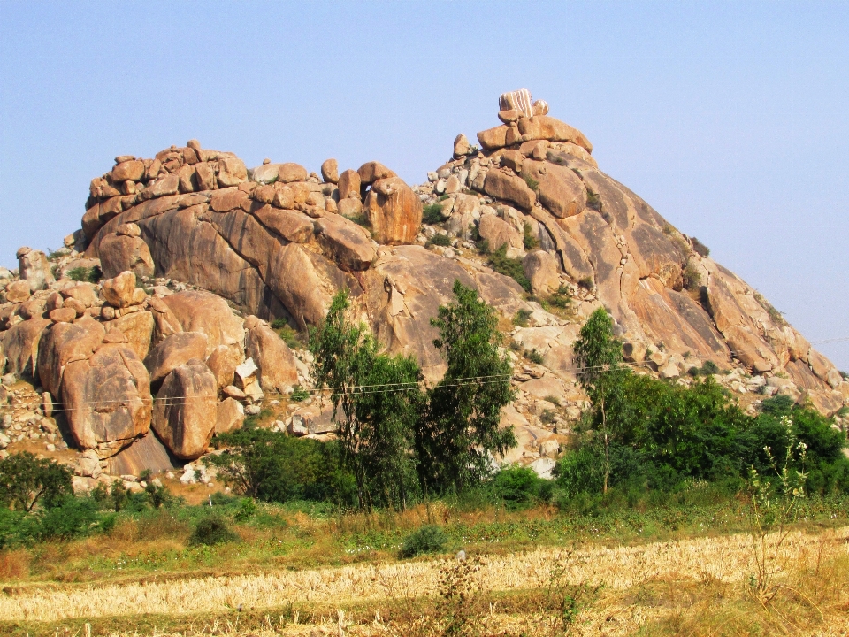 Paisagem natureza rock crescimento