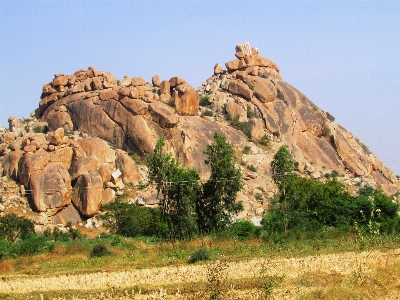 Landscape nature rock growth Photo