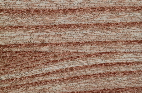 Nature structure wood grain Photo