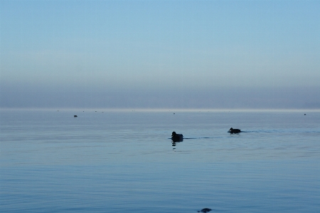 Beach sea coast water Photo