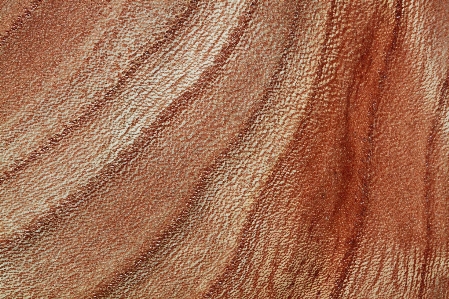 Nature wood leather grain Photo