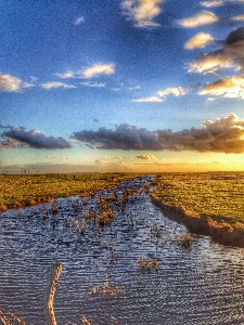 Landscape sea water horizon Photo