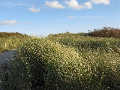 Beach landscape sea coast Photo