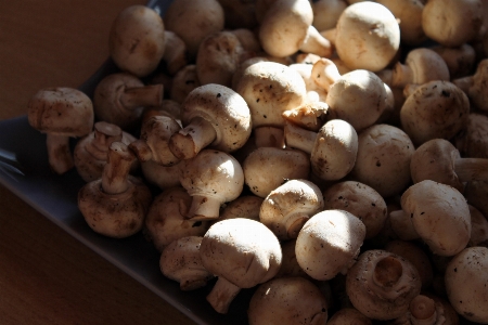 Foto Alimento producir verdura champiñón