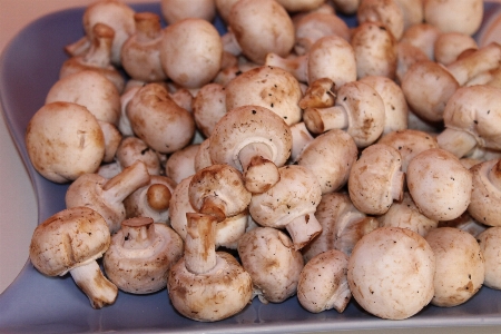 Foto Alimento producir verdura champiñón