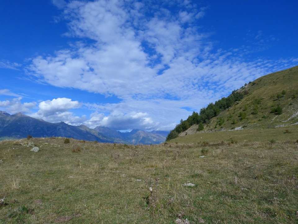 Krajobraz natura trawa pustynia
