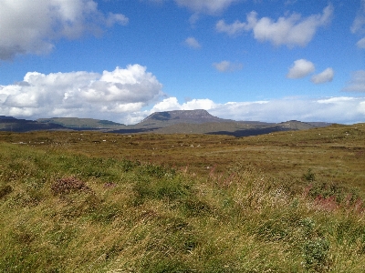 Landscape nature grass horizon Photo