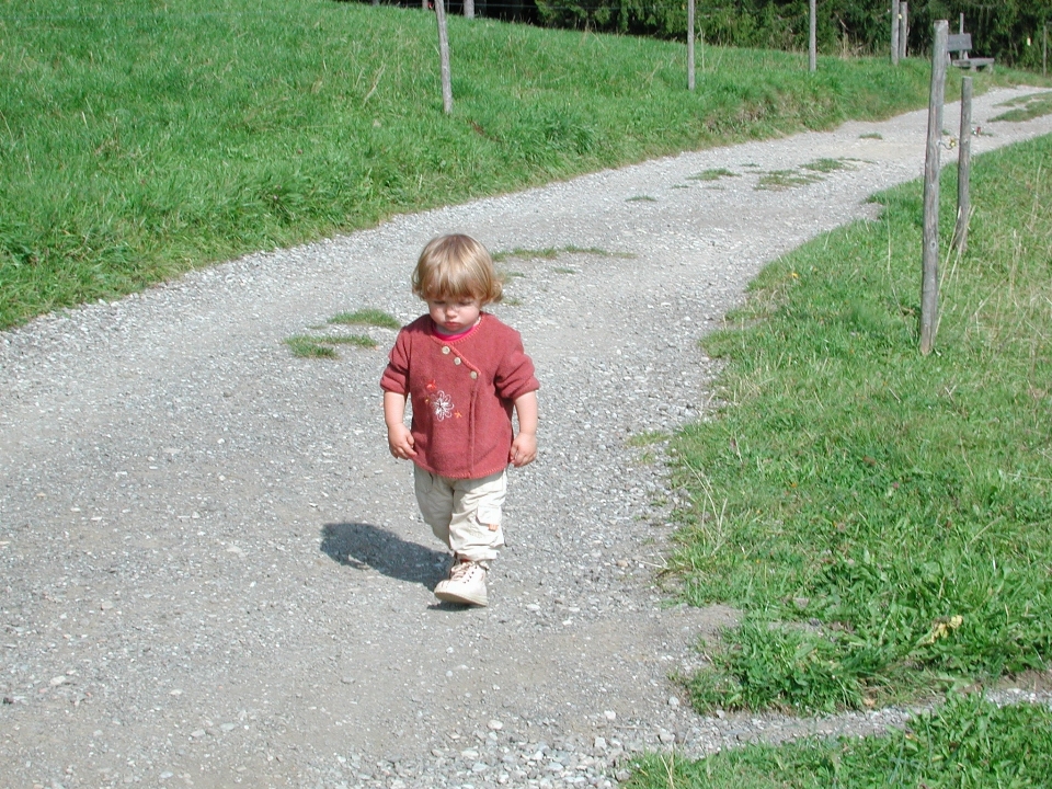 ハイキング
 芝生 遊ぶ 子供