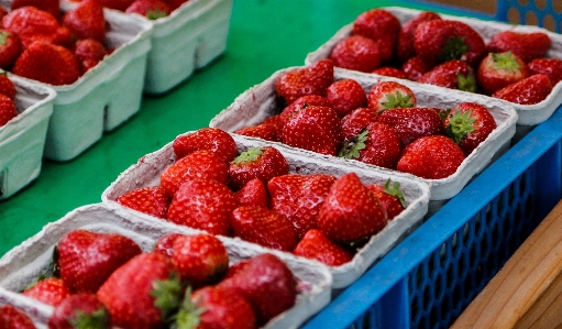 Plant raspberry fruit berry Photo