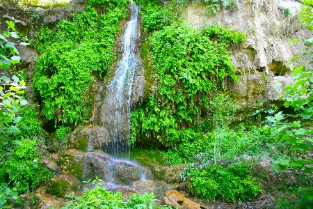 Water nature forest outdoor Photo