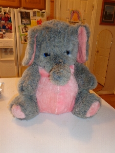 Animal fluffy mammal toy Photo