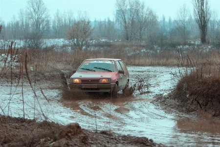 Swamp snow road car Photo