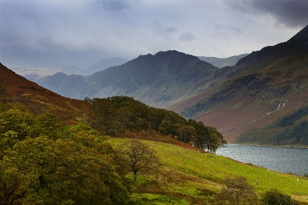 Landscape tree water nature Photo