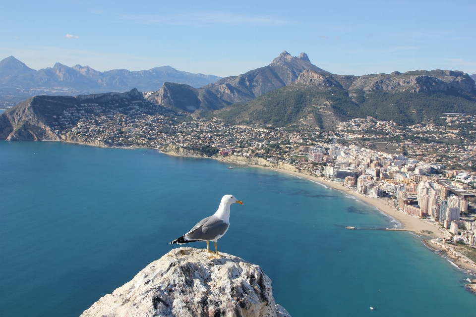 Sea coast ocean mountain