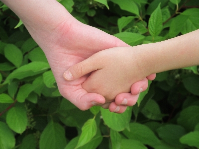 Hand grass plant lawn Photo