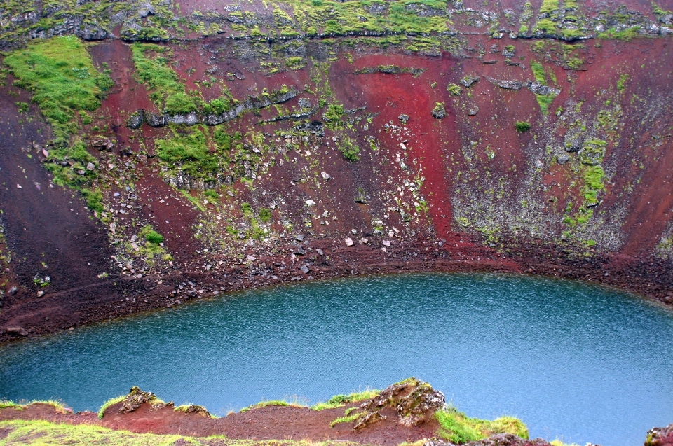 Lanskap bunga kolam cerminan