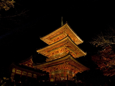 建築 夜 タワー 暗闇
 写真