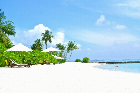 Beach sea coast water Photo