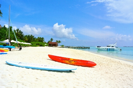 Beach sea coast water Photo