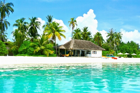 Beach sea water sand Photo