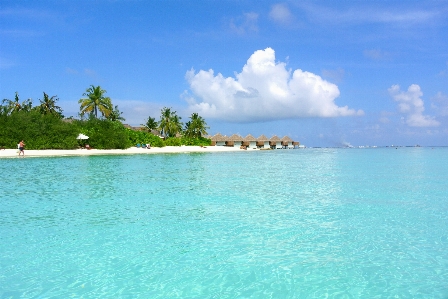 Beach sea coast sand Photo