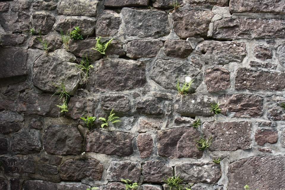 Rock edificio vecchio parete