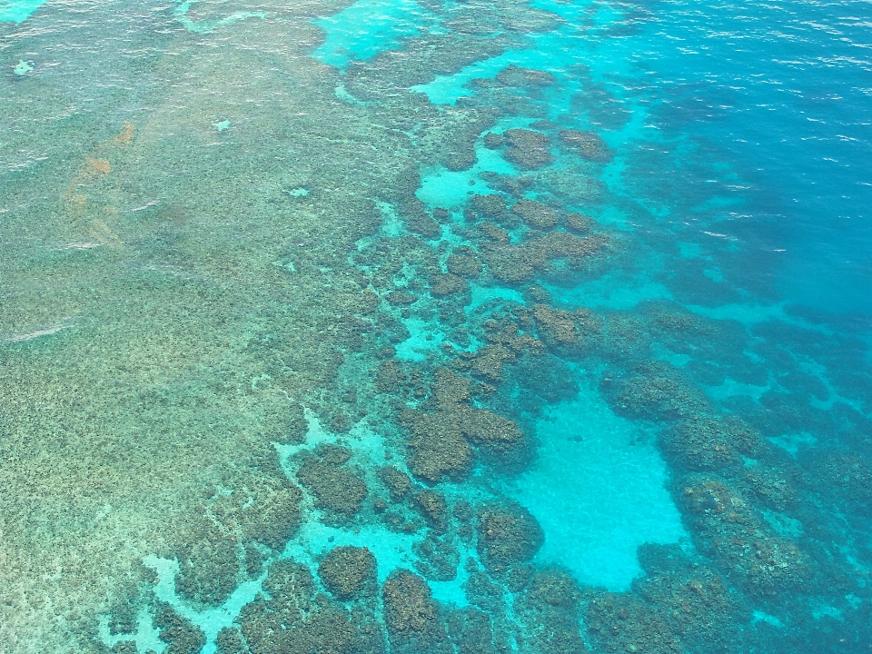 海 海洋 潜水 水下