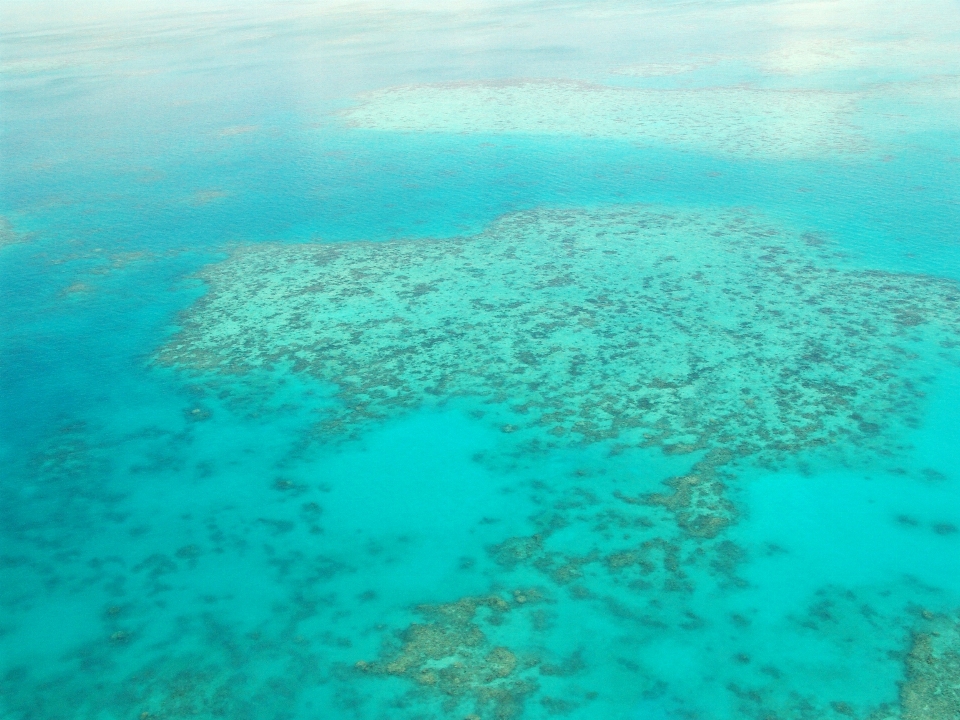 Mar oceano mergulhando embaixo da agua