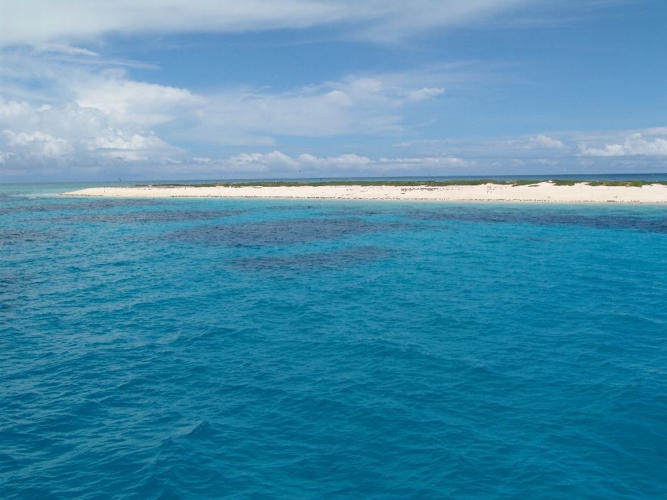 海 海岸 海洋 地平線