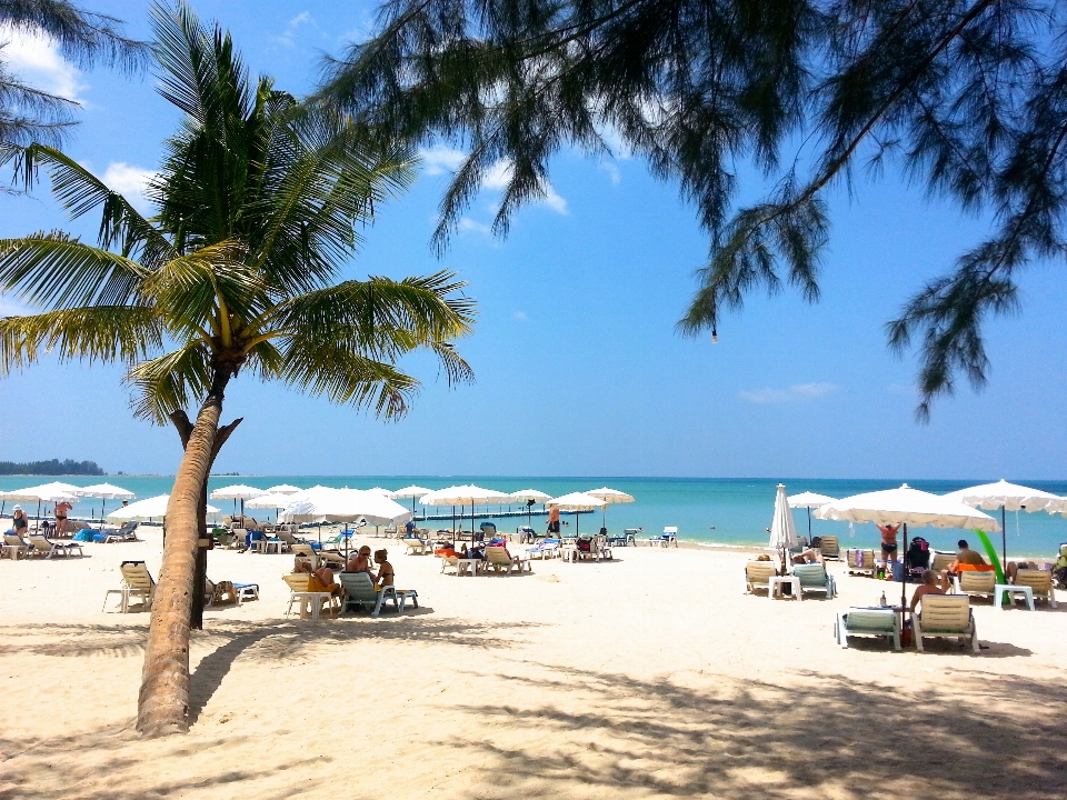 Pantai laut pesisir alam