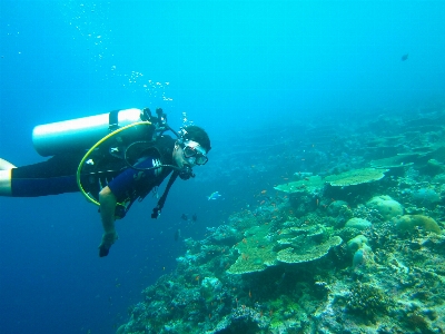 Zdjęcie Morze ocean rekreacja nurkowanie