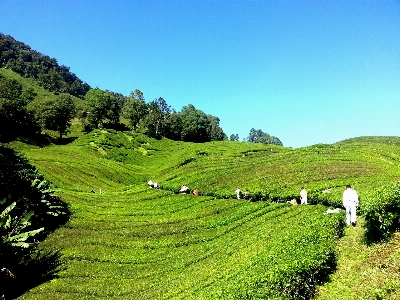 Landscape nature grass mountain Photo