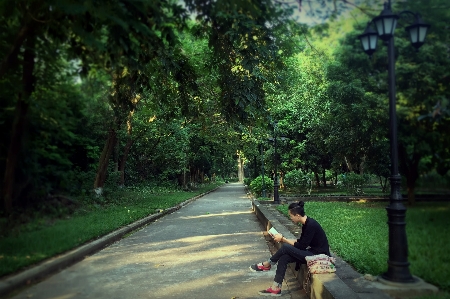 Foto Homem árvore natureza floresta