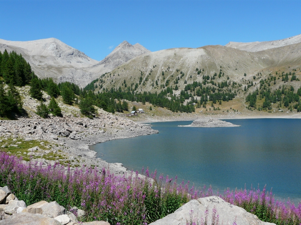 Paesaggio natura selvaggia
 a piedi