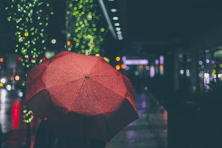 Light night rain leaf Photo