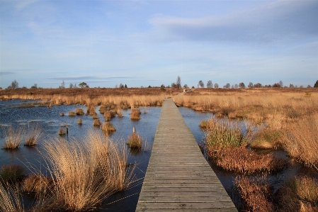 Landscape sea coast water Photo