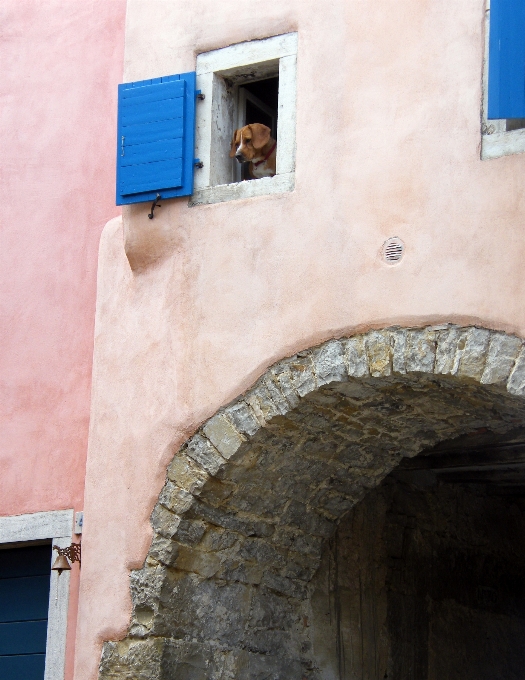 Architettura legna casa finestra