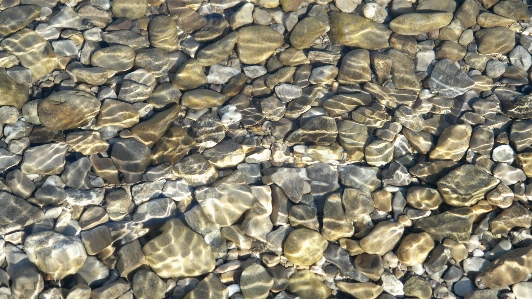 水 自然 rock 木 写真