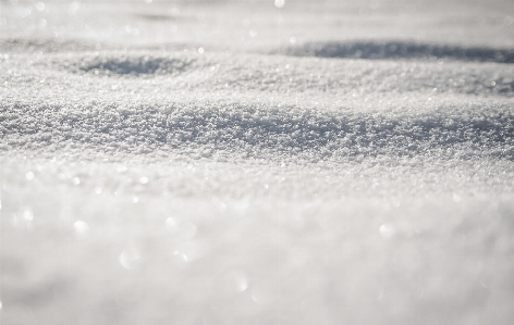 海 水 自然 雪 写真