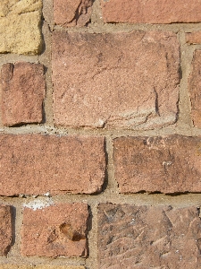 Rock structure wood texture Photo