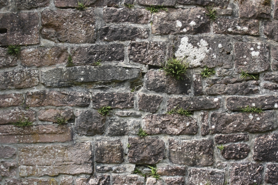 Rock structure texture building