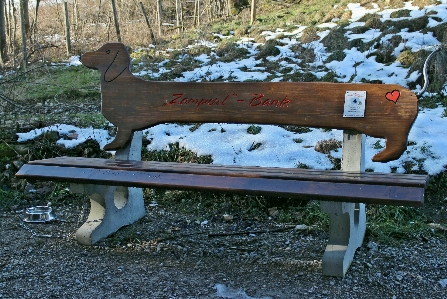 Table nature wood bench Photo